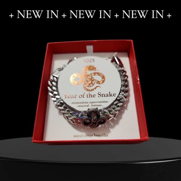 NIB/NWOT Year of the Snake Men's Jewelry Bundle: Necklace & Bracelet Set - Picture 4 of 5